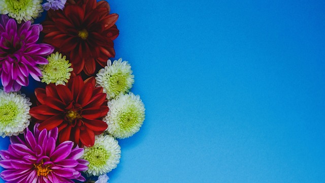 帕尔梅拉斯 帕尔梅拉斯